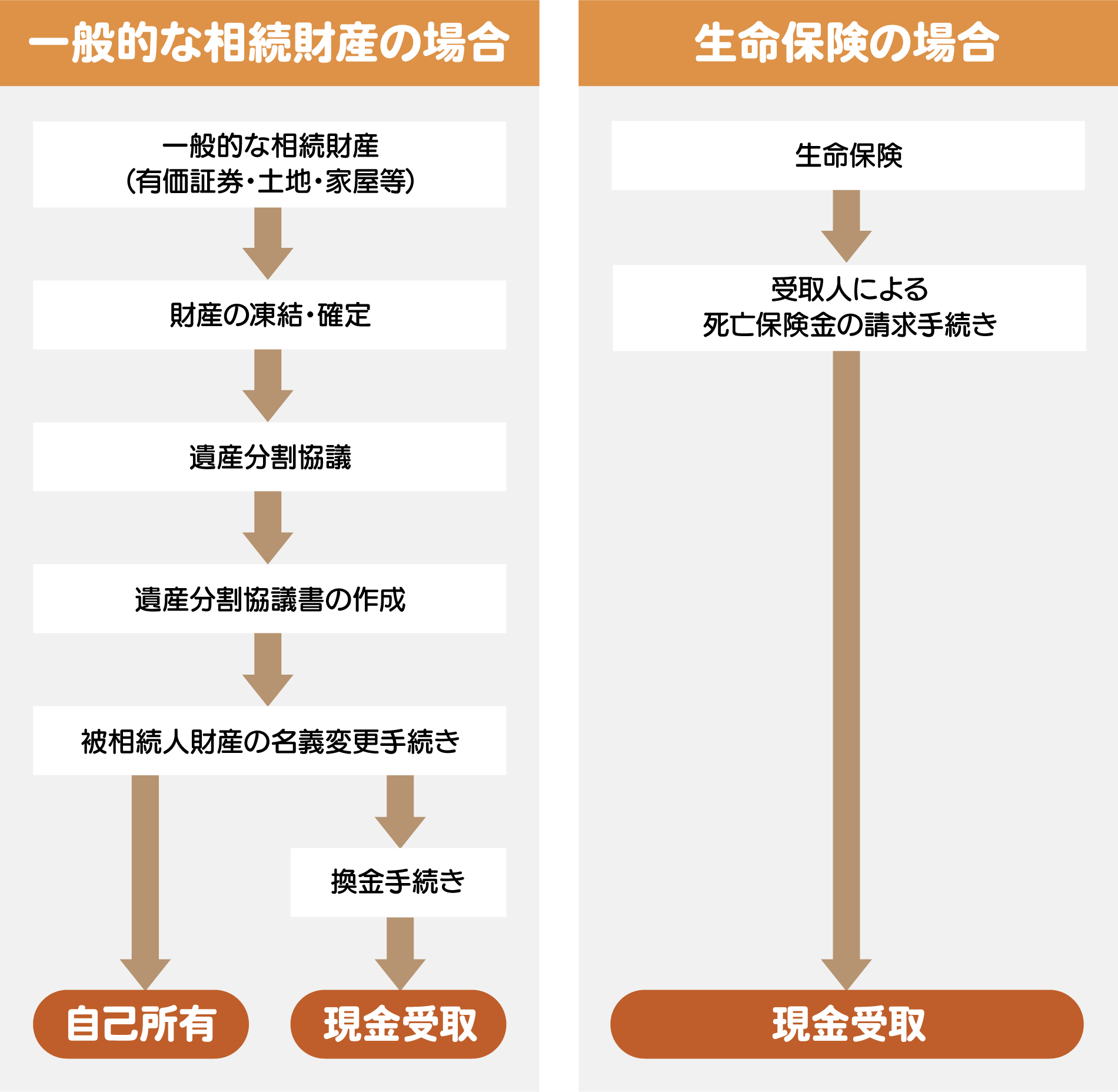 画像⑤